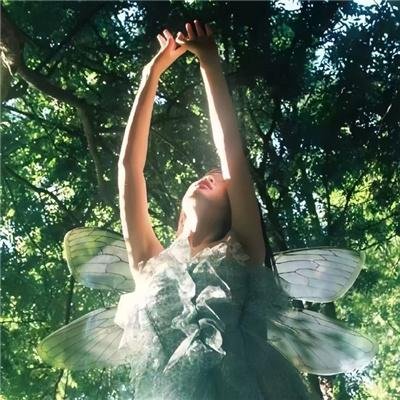 普罗旺斯惊魂记